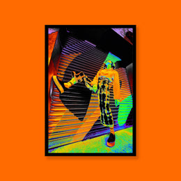 Framed poster #152