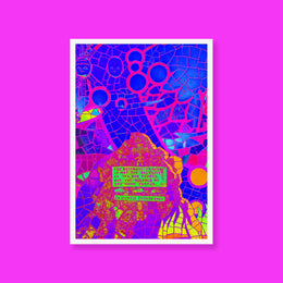 Framed poster #210