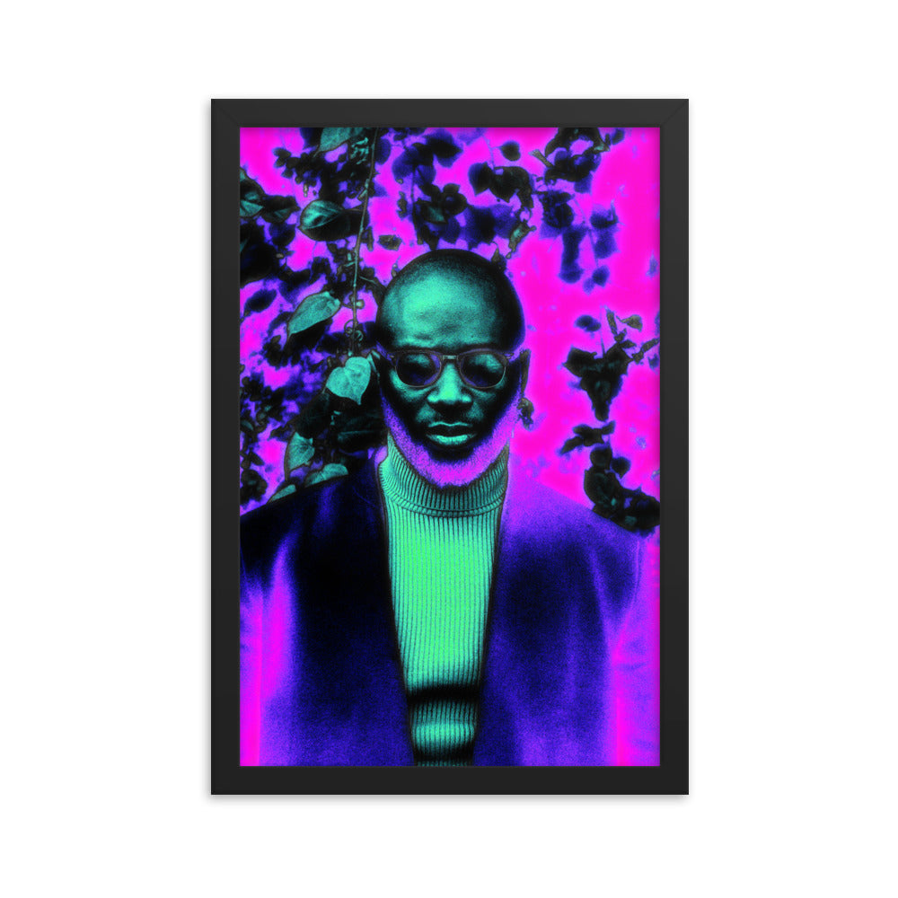 Framed poster #117