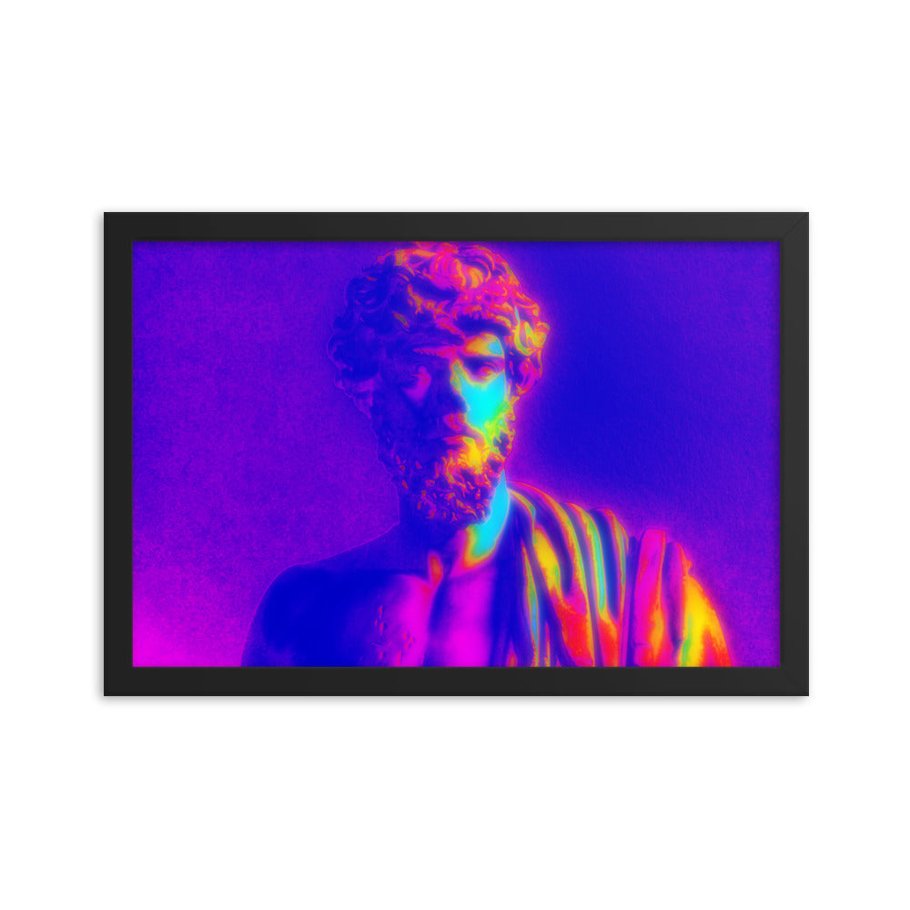 Framed poster #114