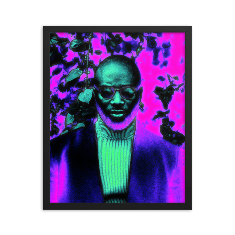 Framed poster #117