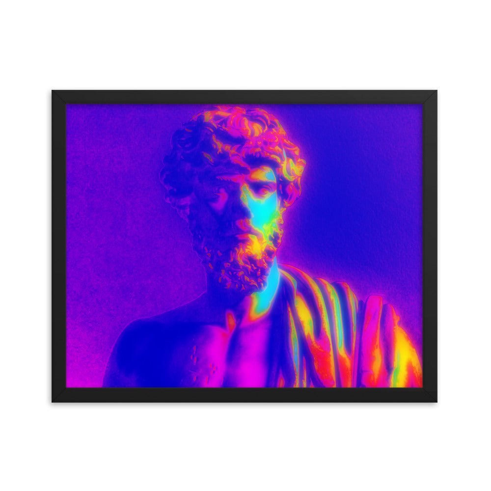 Framed poster #114