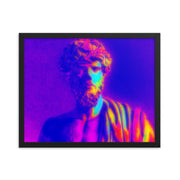 Framed poster #114