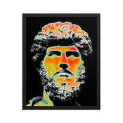 Framed poster #132