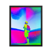 Framed poster #224