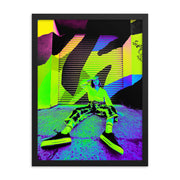 Framed poster #148