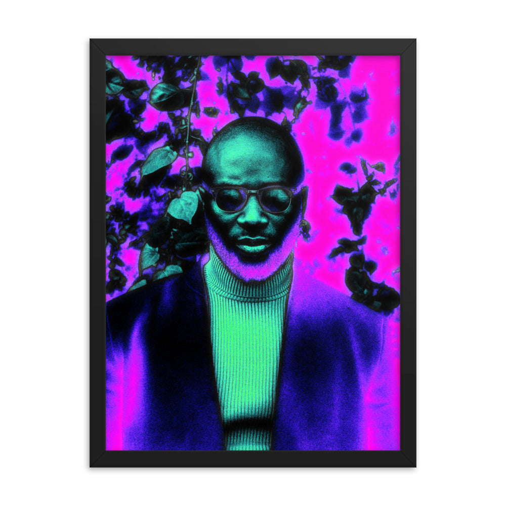 Framed poster #117