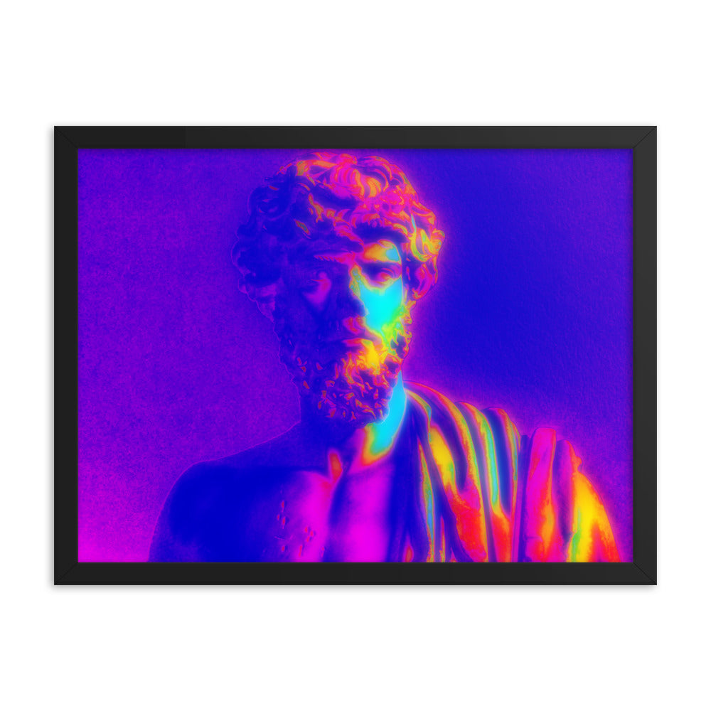 Framed poster #114