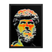 Framed poster #132