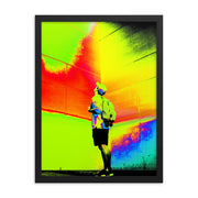 Framed poster #230