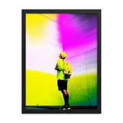 Framed poster #221