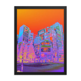 Framed poster #327