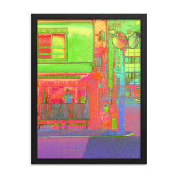 Framed poster #349
