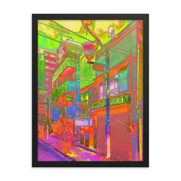 Framed poster #342