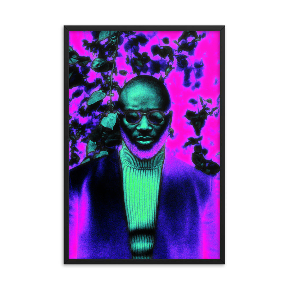 Framed poster #117