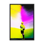 Framed poster #221