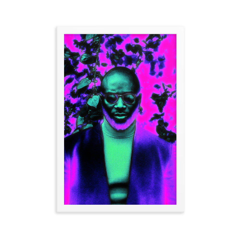 Framed poster #117