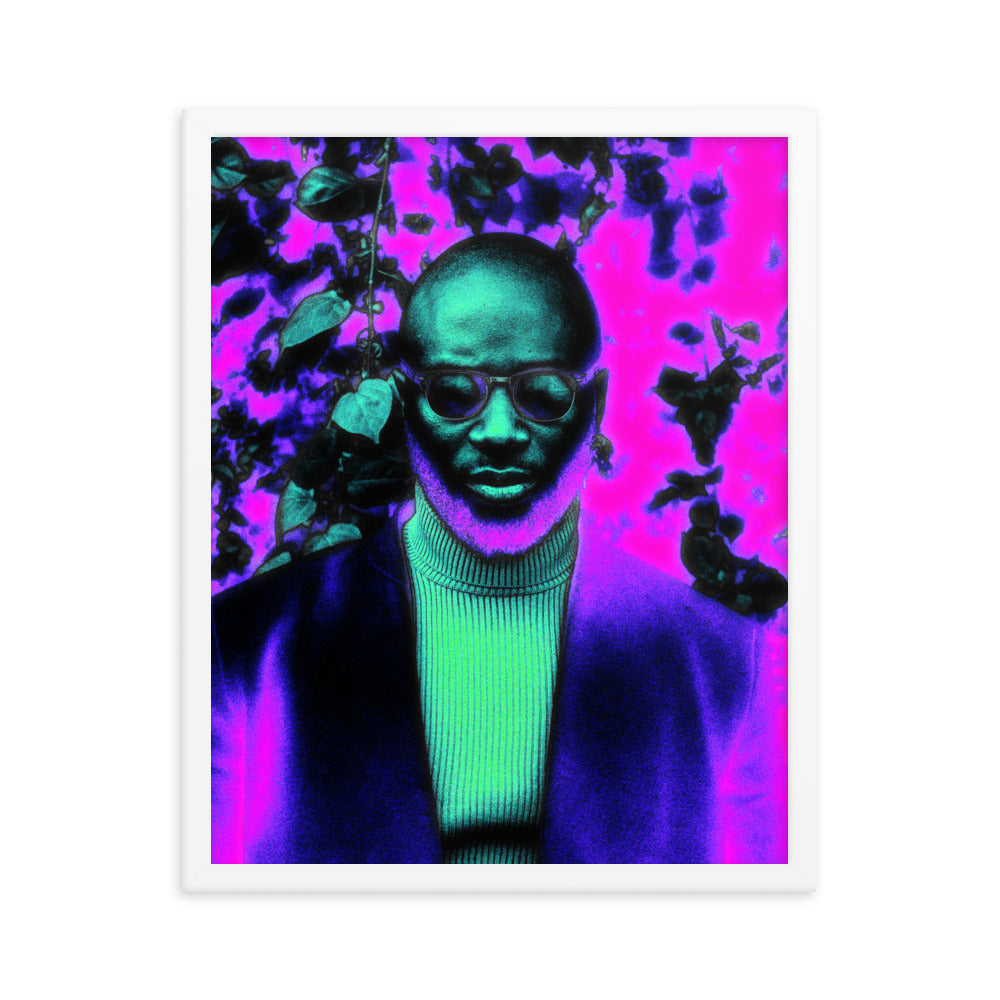 Framed poster #117