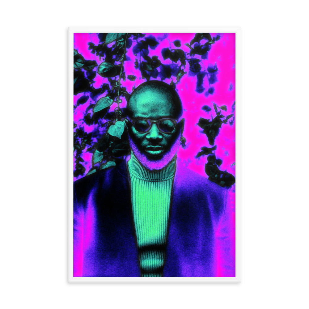 Framed poster #117