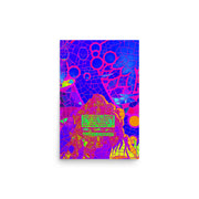 Poster #210