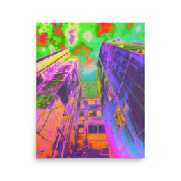 Poster #338