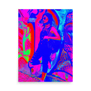 Poster #165
