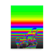 Poster #323