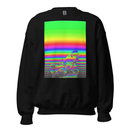 Unisex Sweatshirt #323